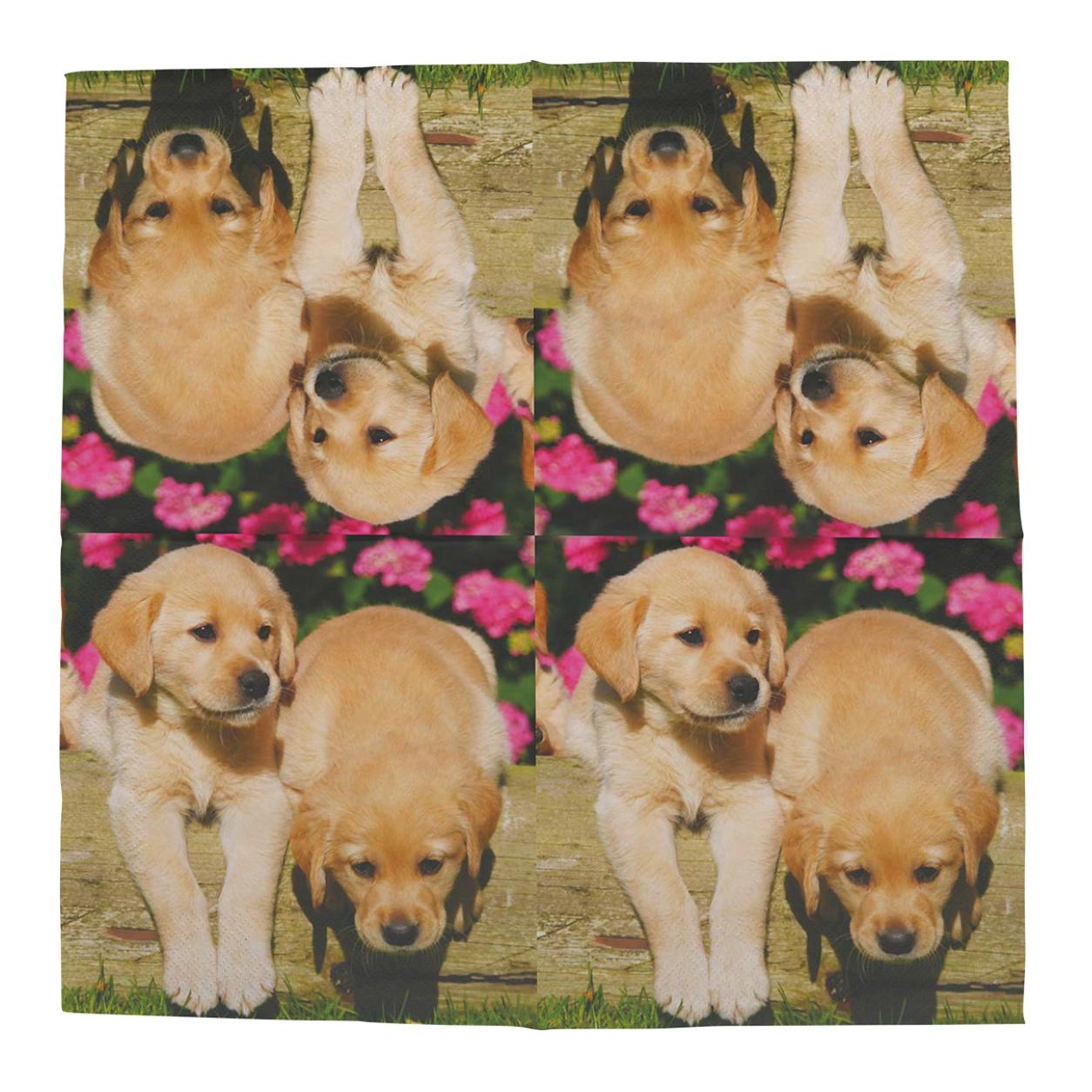 Image of Esschert Papierservietten Welpen 33x33cm - Braun - bei Hauptner.ch