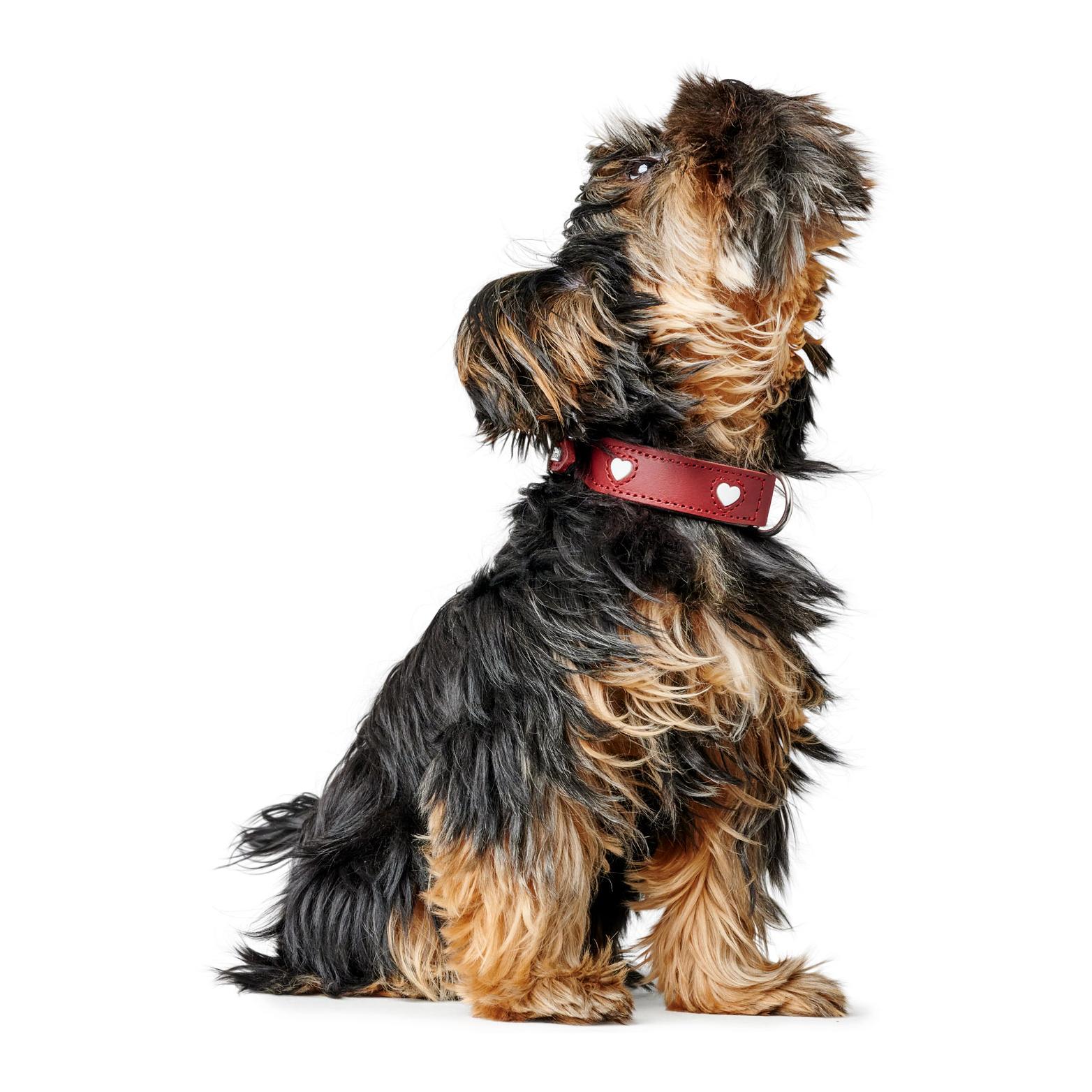 Hunter Halsband Love 