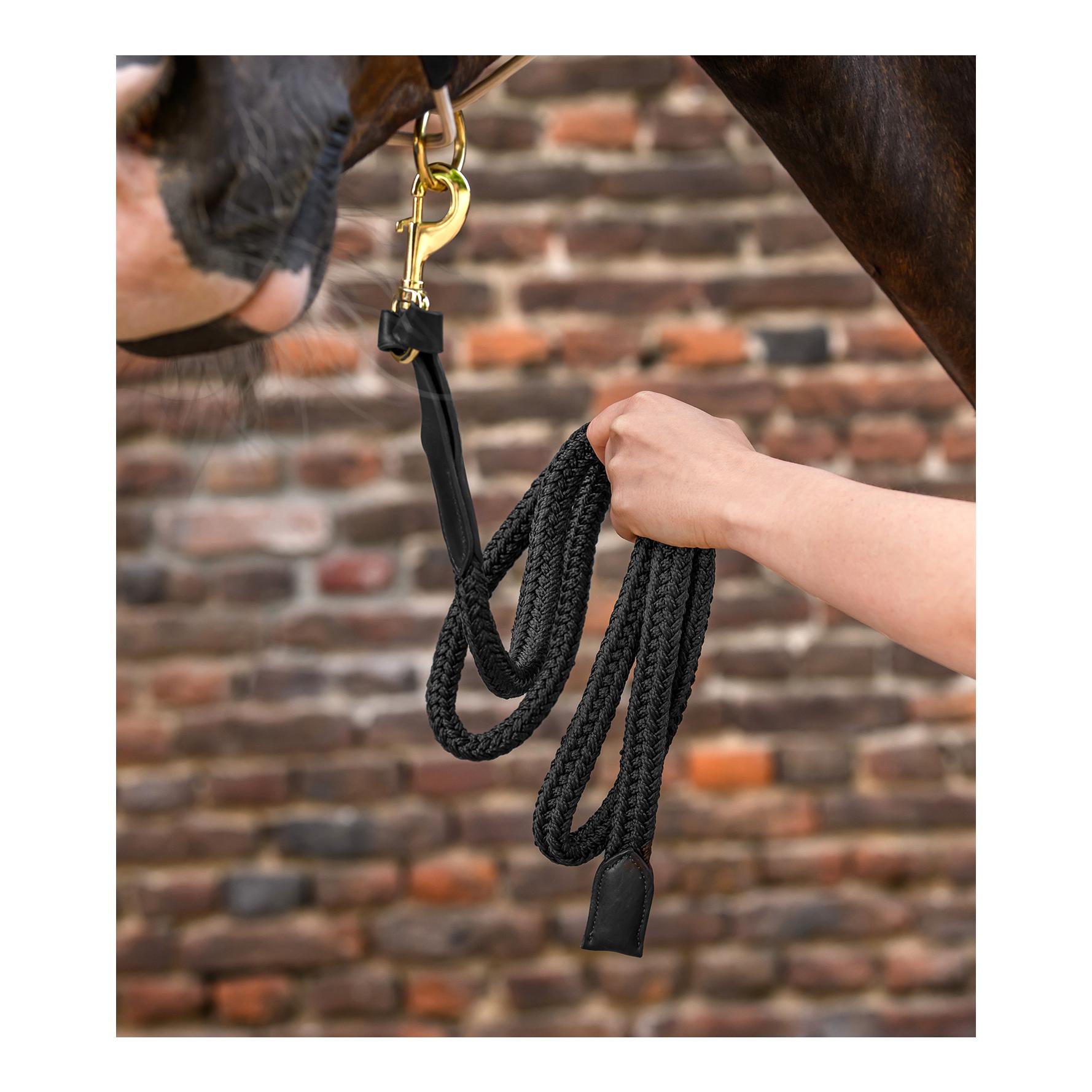 Waldhausen Führstrick Royal Lederdetails mit Karabinerhaken
