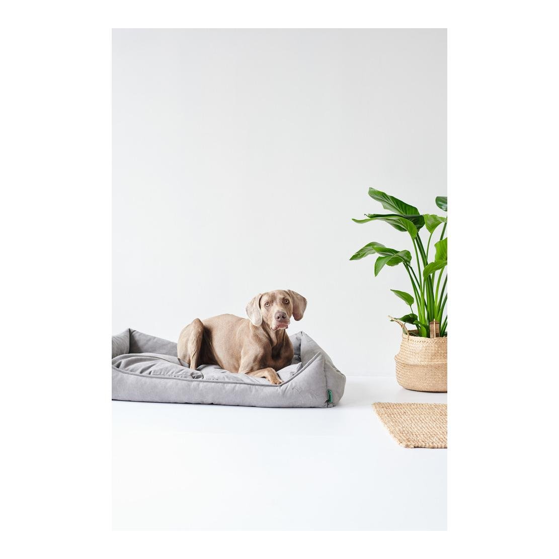 Canapé pour chien Eiby - gris Canapé pour chien Eiby - gris