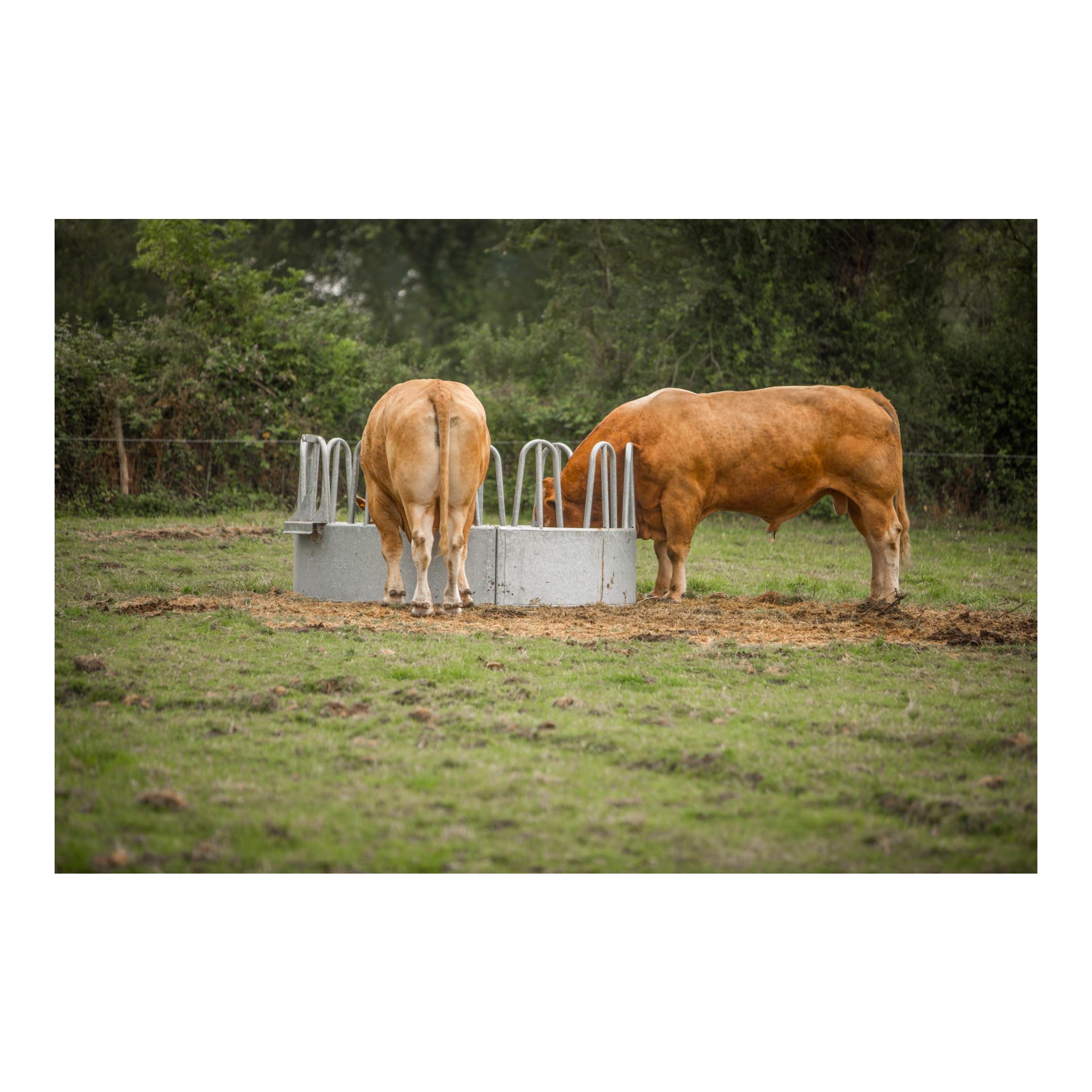 Rundraufe mit Palisadenfressgitter