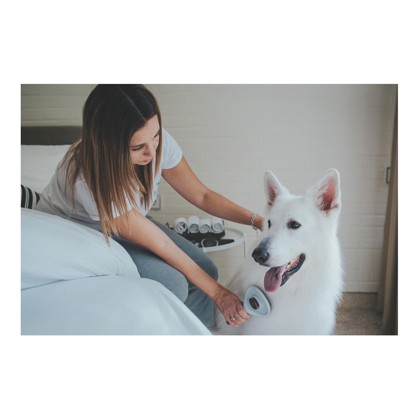 Zupfbürste Spa selbstreinigend