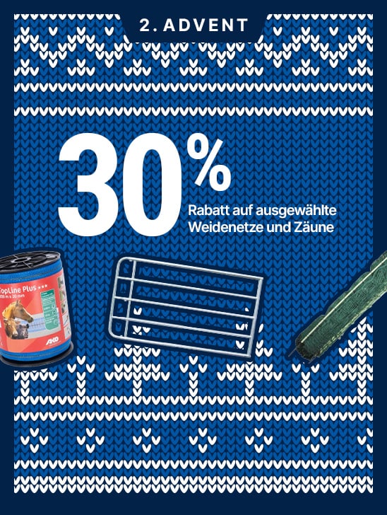 HP-Adventsaktionen-EKW-548x728-2x-startpage-DE-2