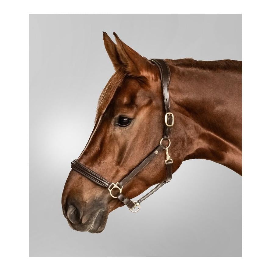 Lederhalfter S-Line Classy