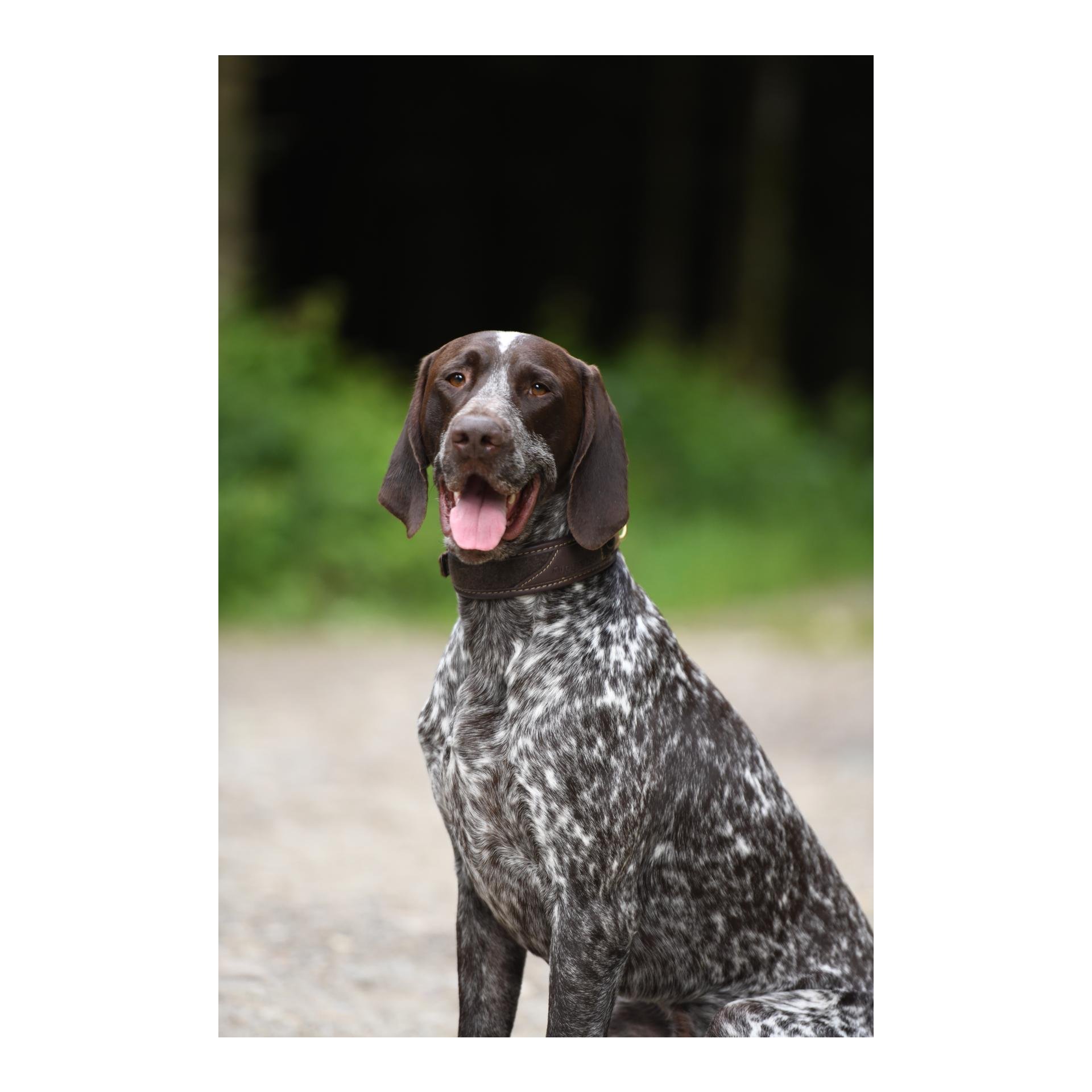 Halsung Classic Loden