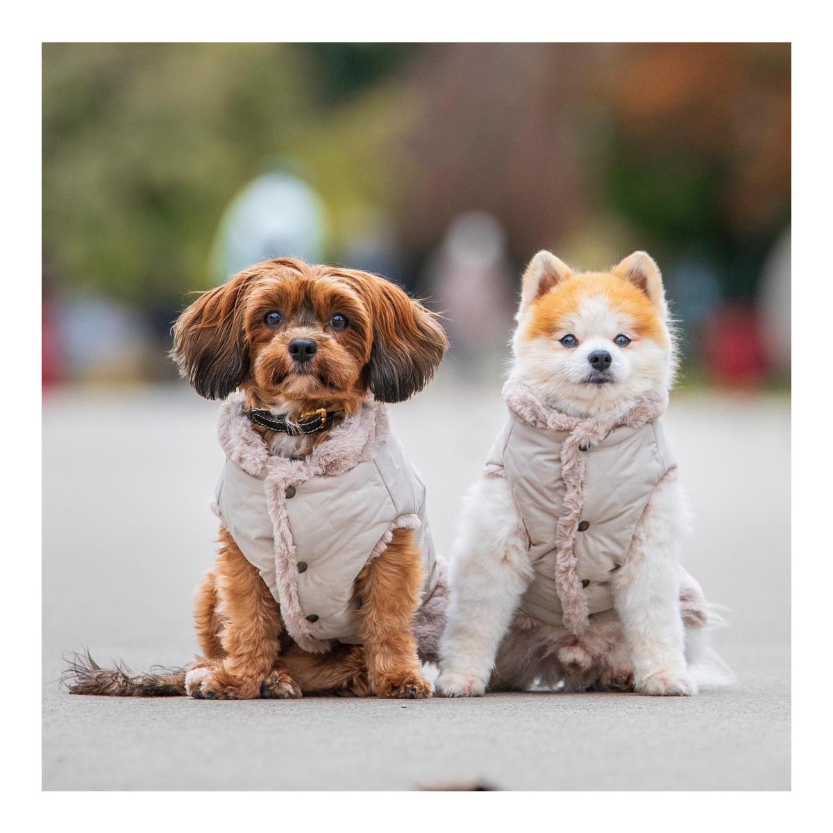 Umkehrbarer Hundemantel Chamonix 2 in 1