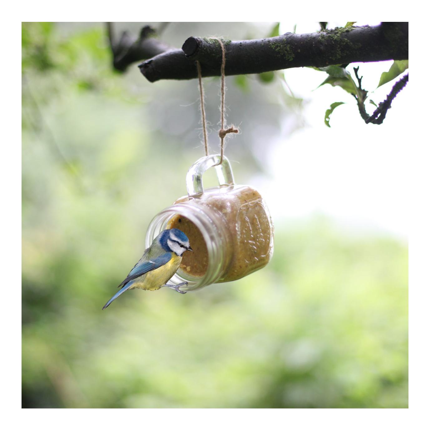 Vogelerdnussbutter Becherglas sort