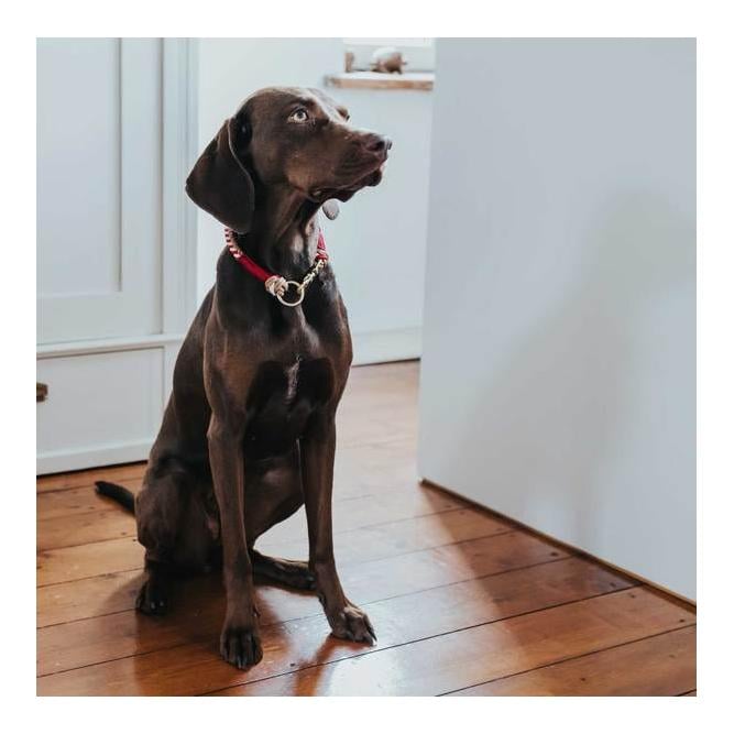 Halsung Tinnum - rot/beige