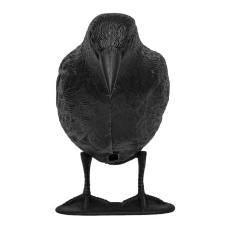 Bradas Vogelabwehr - Rabe sitzend