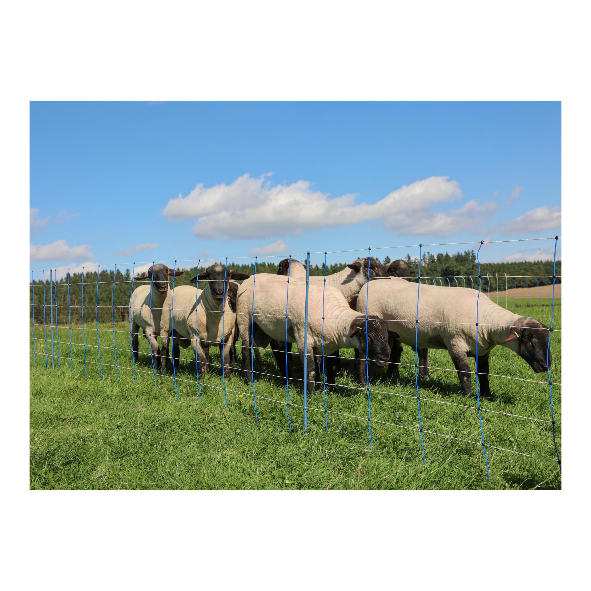 AKO Weidenetz TITAN Premium Plus Net - Doppelspitz