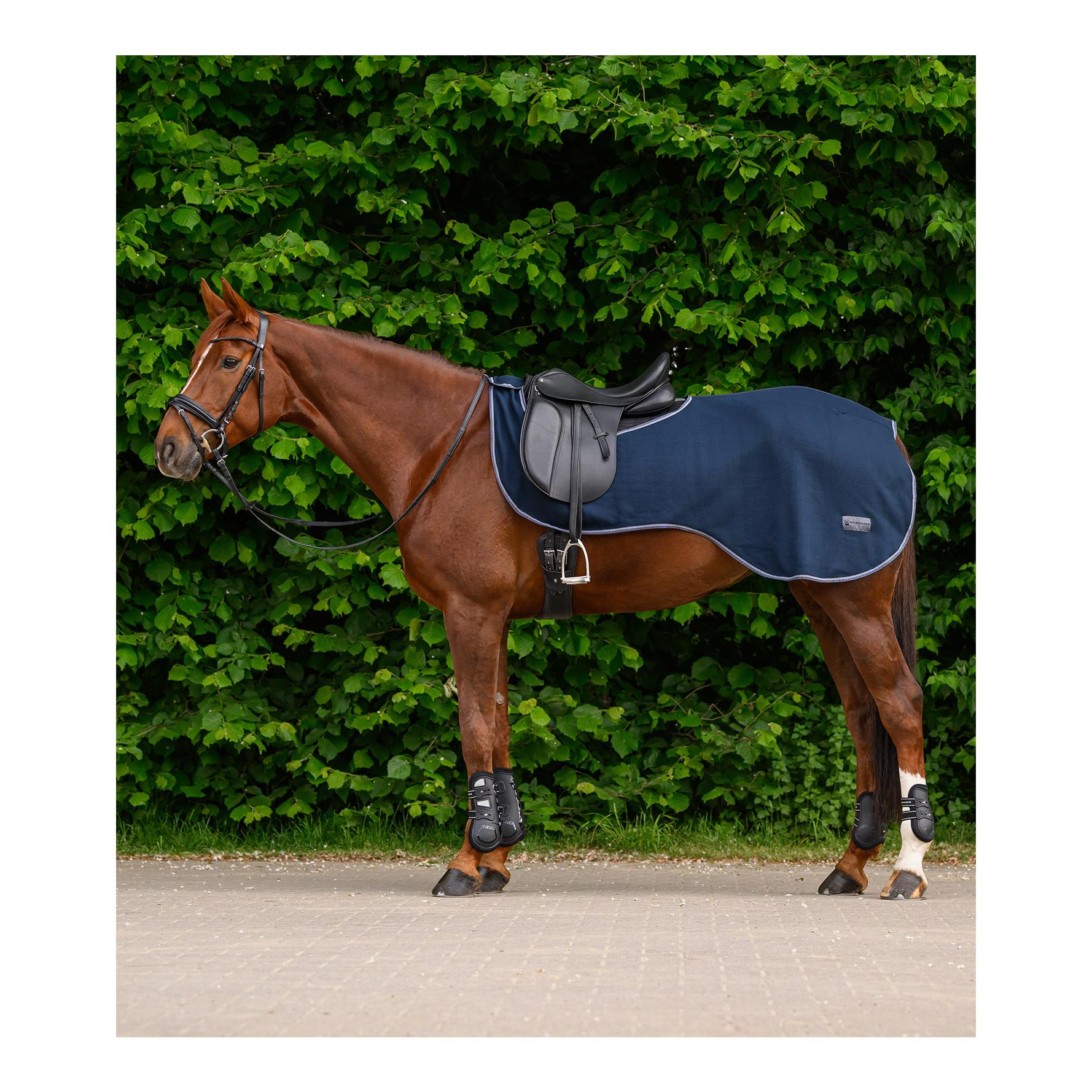 Ausreitdecke ECONOMIC 