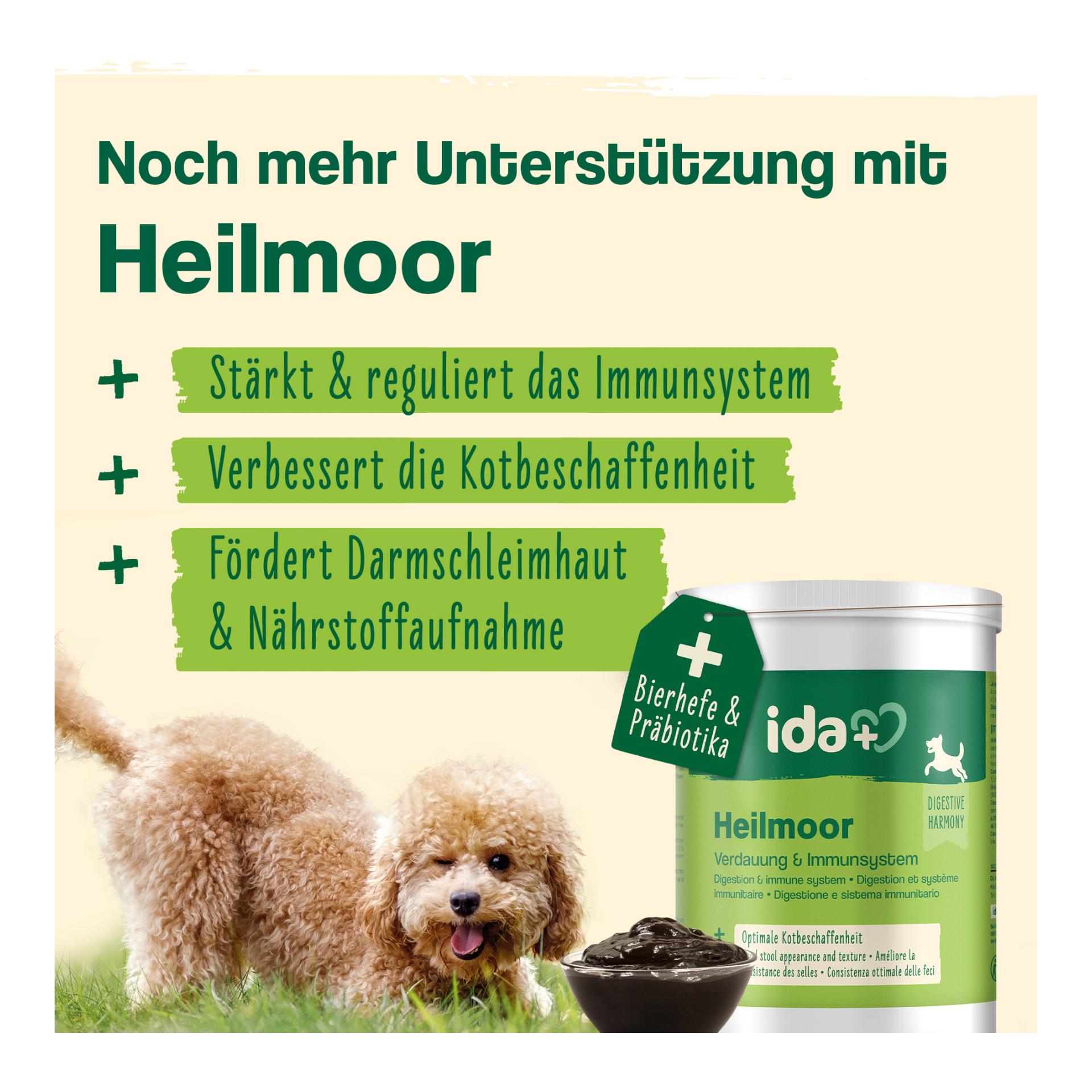 IdaPlus Darmbiotic - Probiotika zur Darmsanierung 