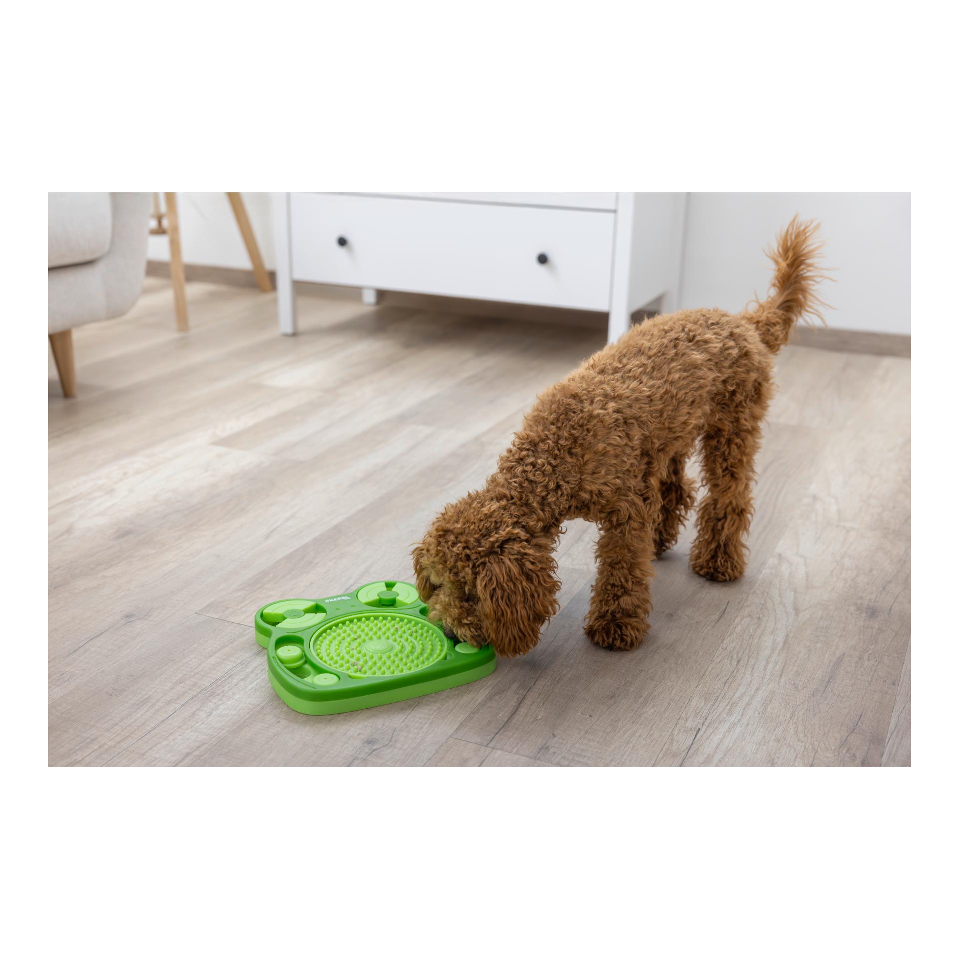 Kerbl Pet Denk- und Lernspielzeug Frosch