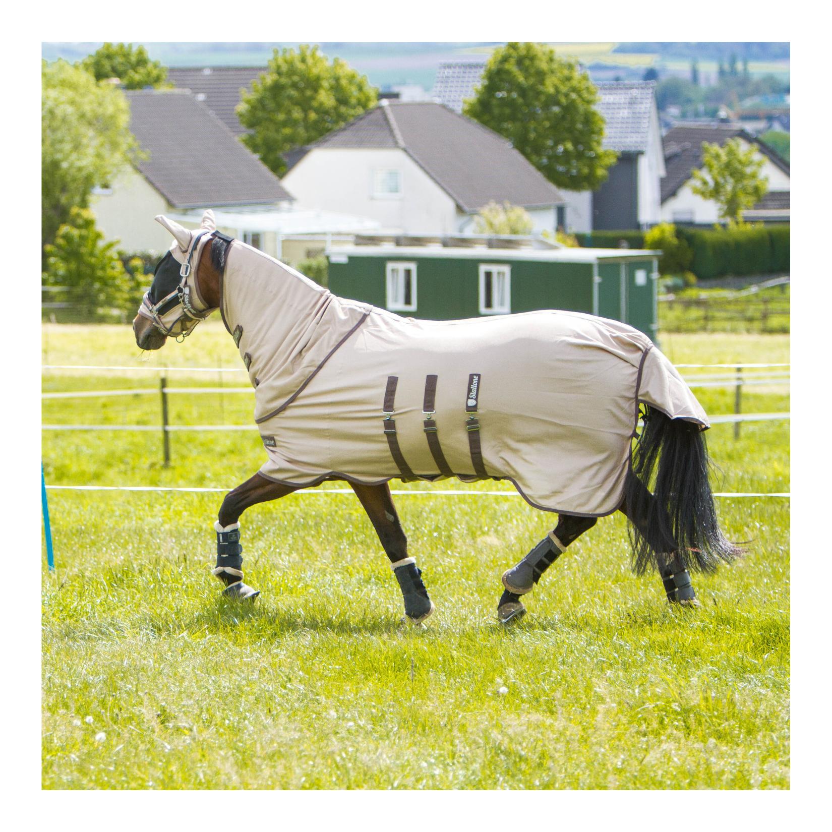 Halsteil Summer Guard