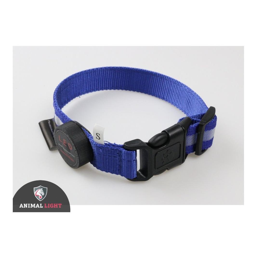 Leucht - Hundehalsband "Cash" - rosa/pink