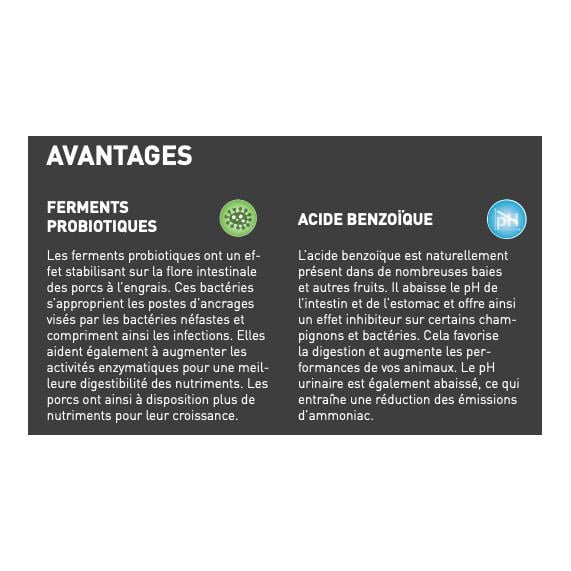 granovit Mast Maxi Plus - Aliment d'engraissement pour porcs, semoule