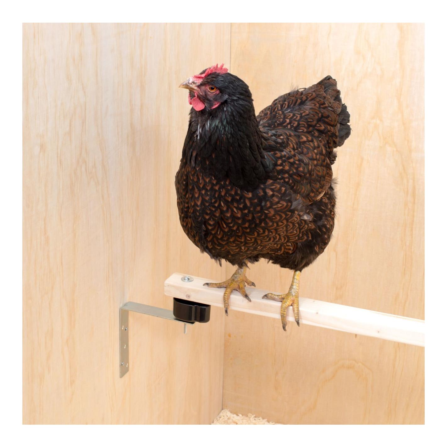 Kit anti-acarien suceur de sang