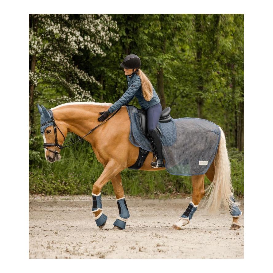 Guêtre de dressage Pegasus