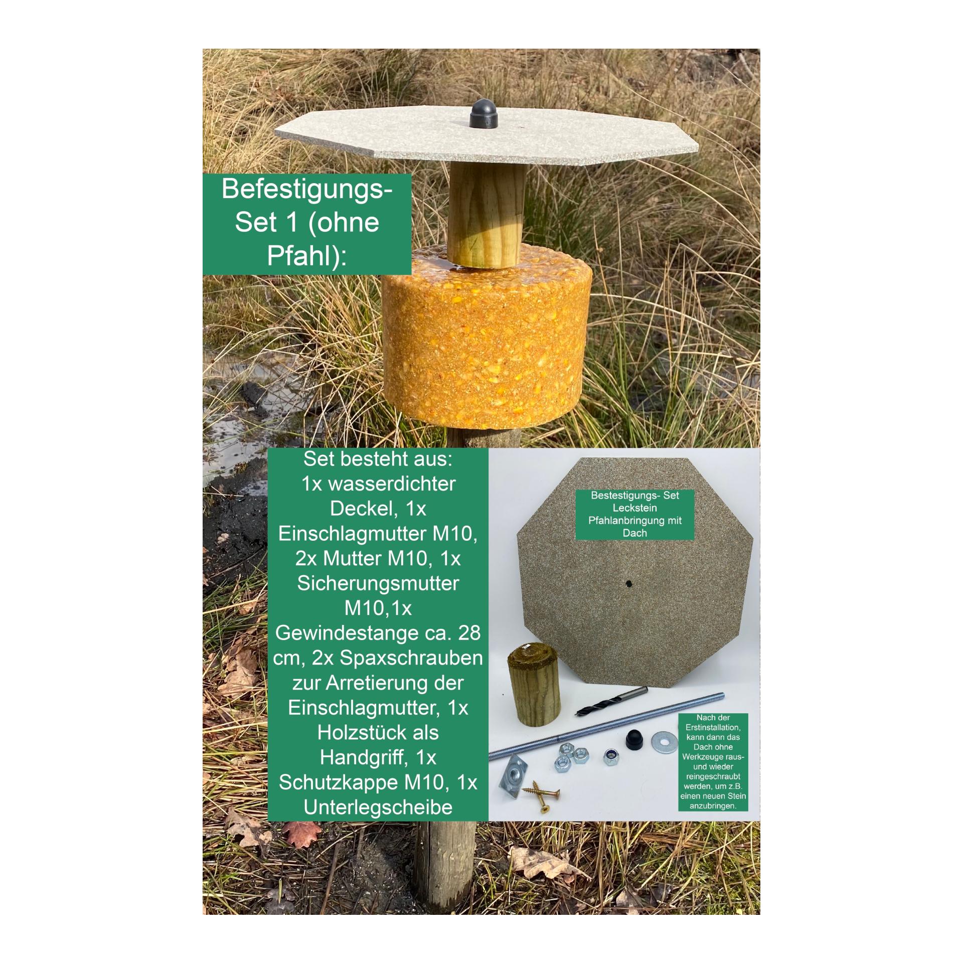 Befestigungsset Pfahlanbringung für Lecksteine