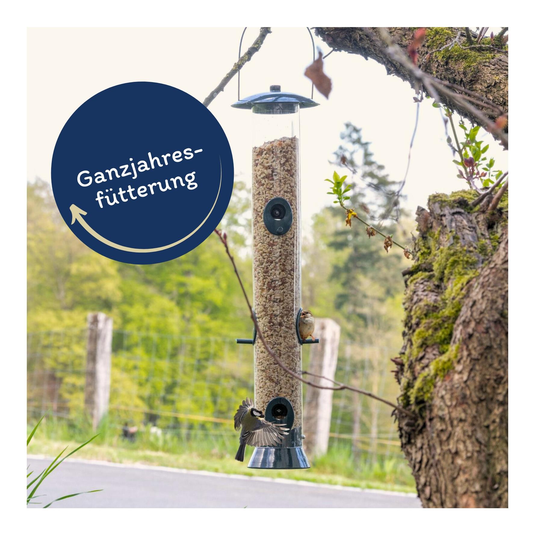 Erdnusskerne gehackt mit Haut