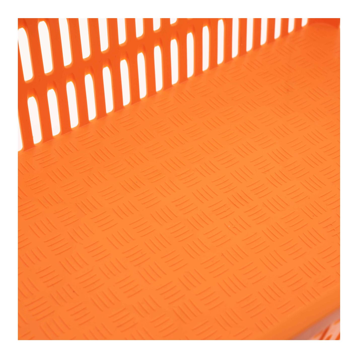 Olba Transportbox für Wachteln/Tauben