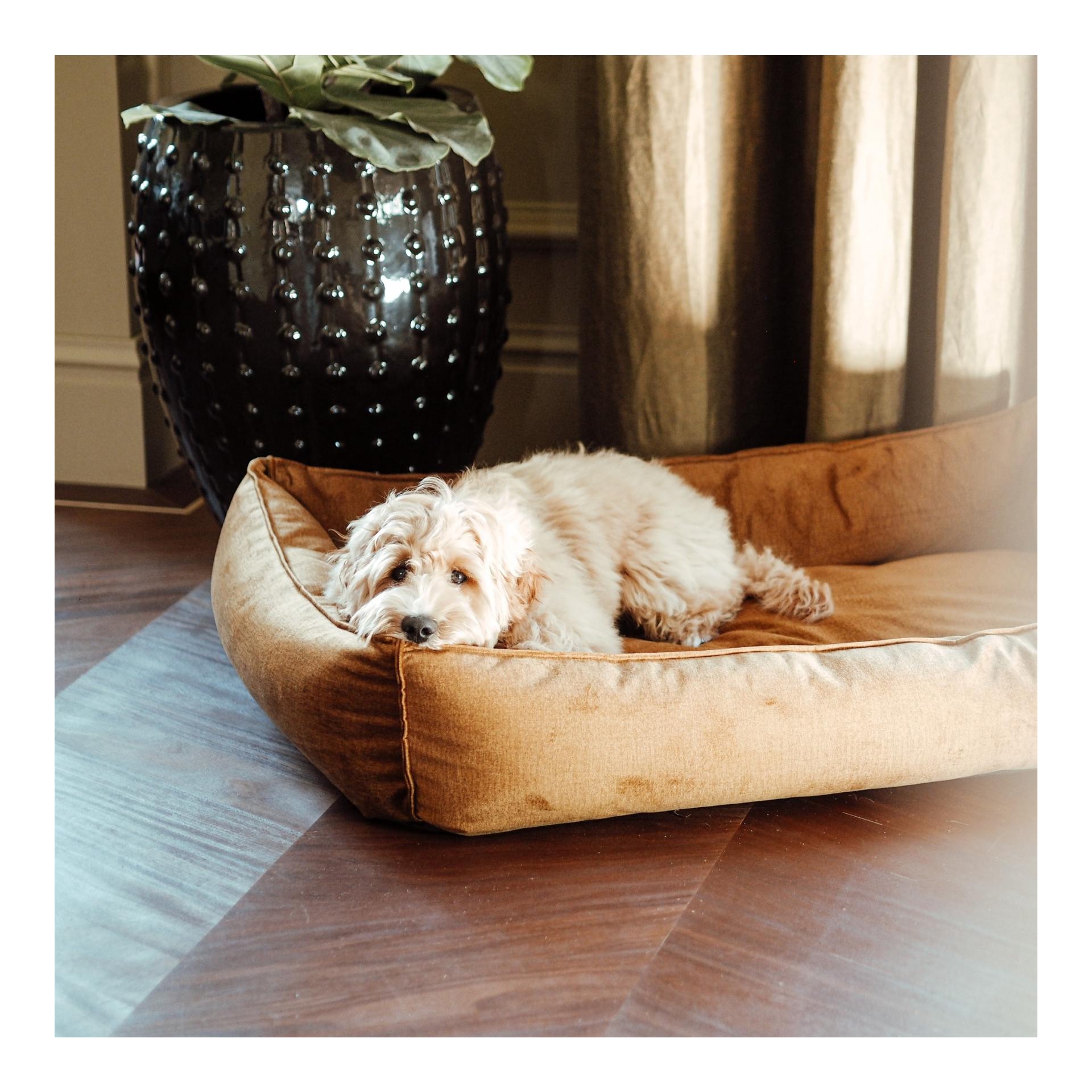 Hundebett Shimmer Box Bett
