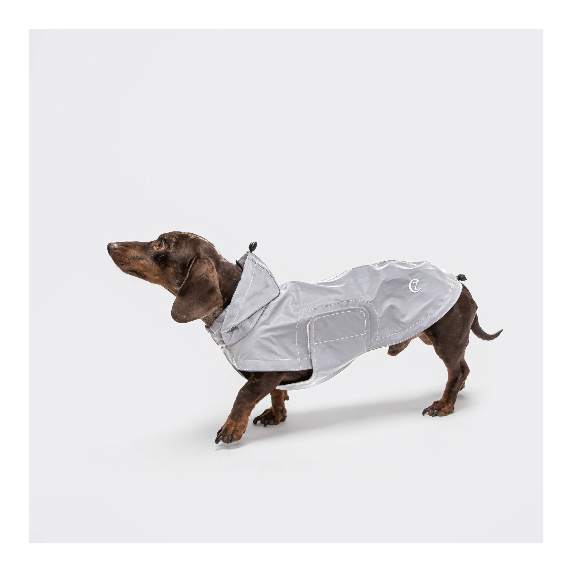Hunderegenmantel Berlin - reflective