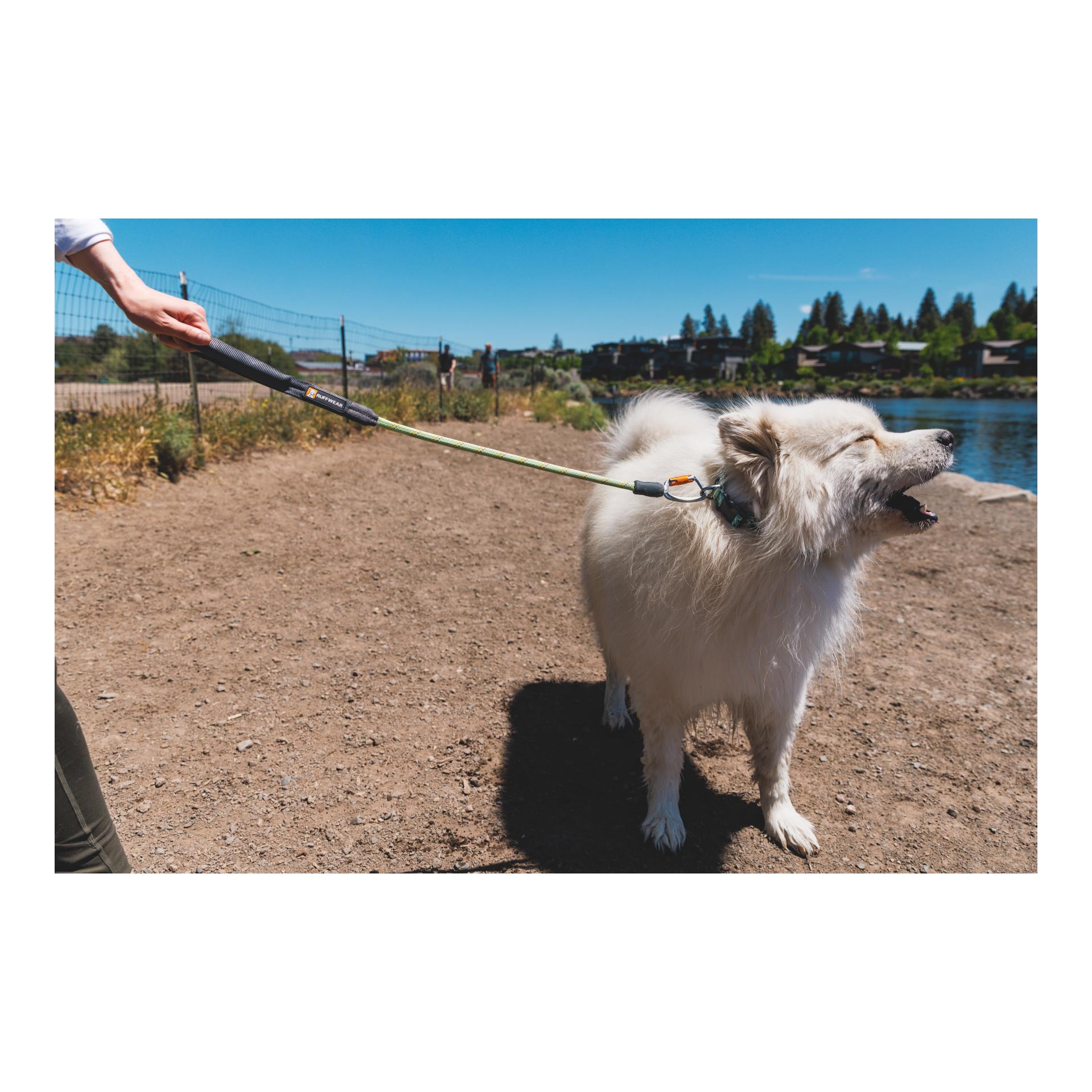 Knot-a-Long Leash Hundeleine