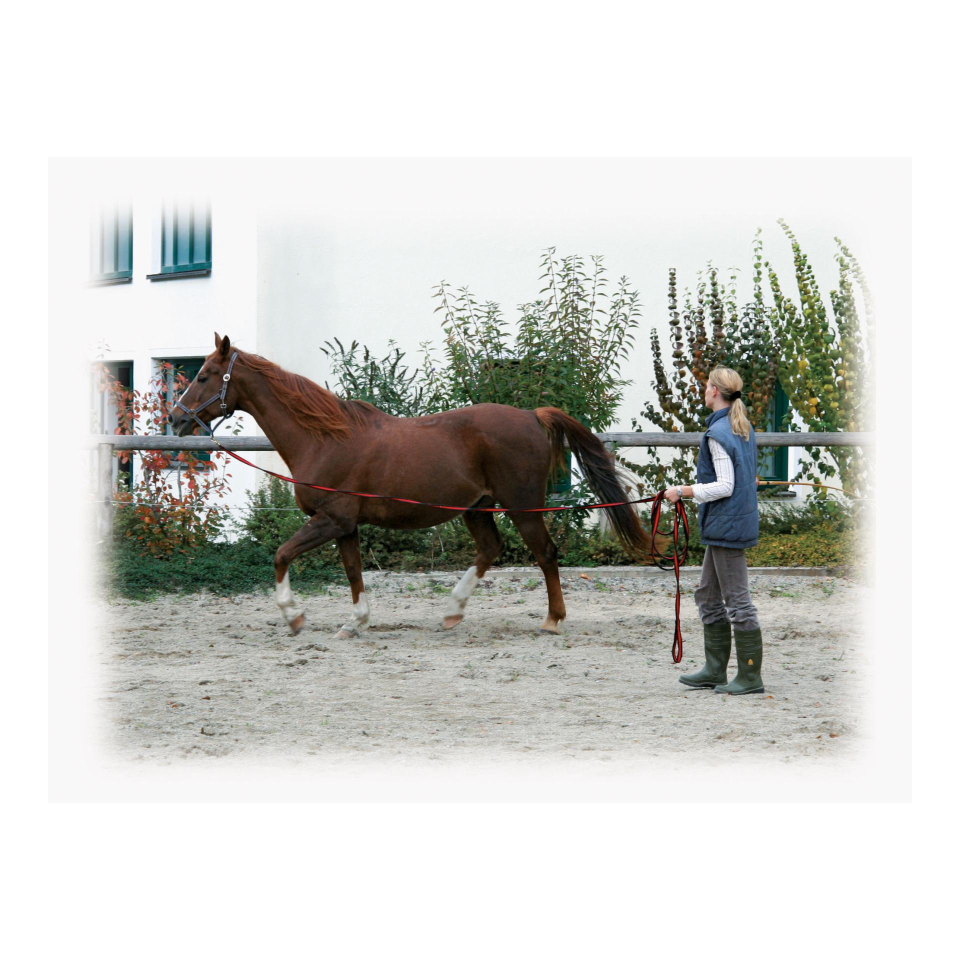 Longierleine Softlonge 8m - schwarz/rot