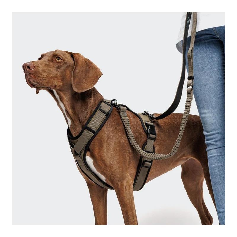 L-2 Laisse de jogging pour chien