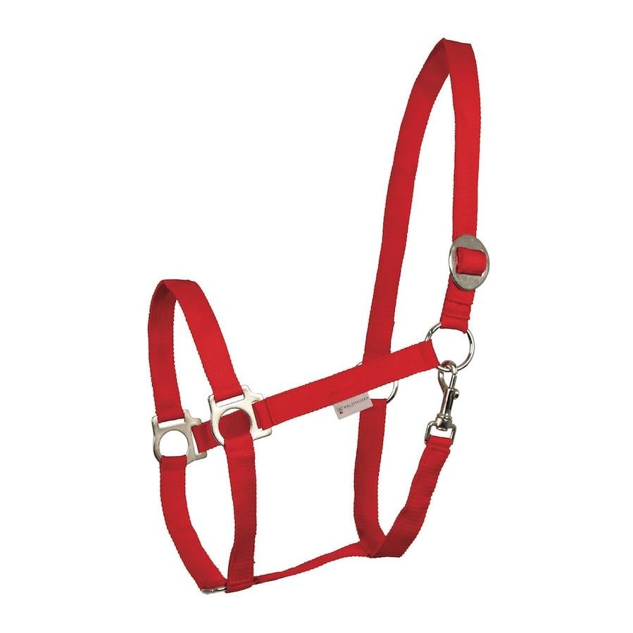 Halfter Perlon - rot