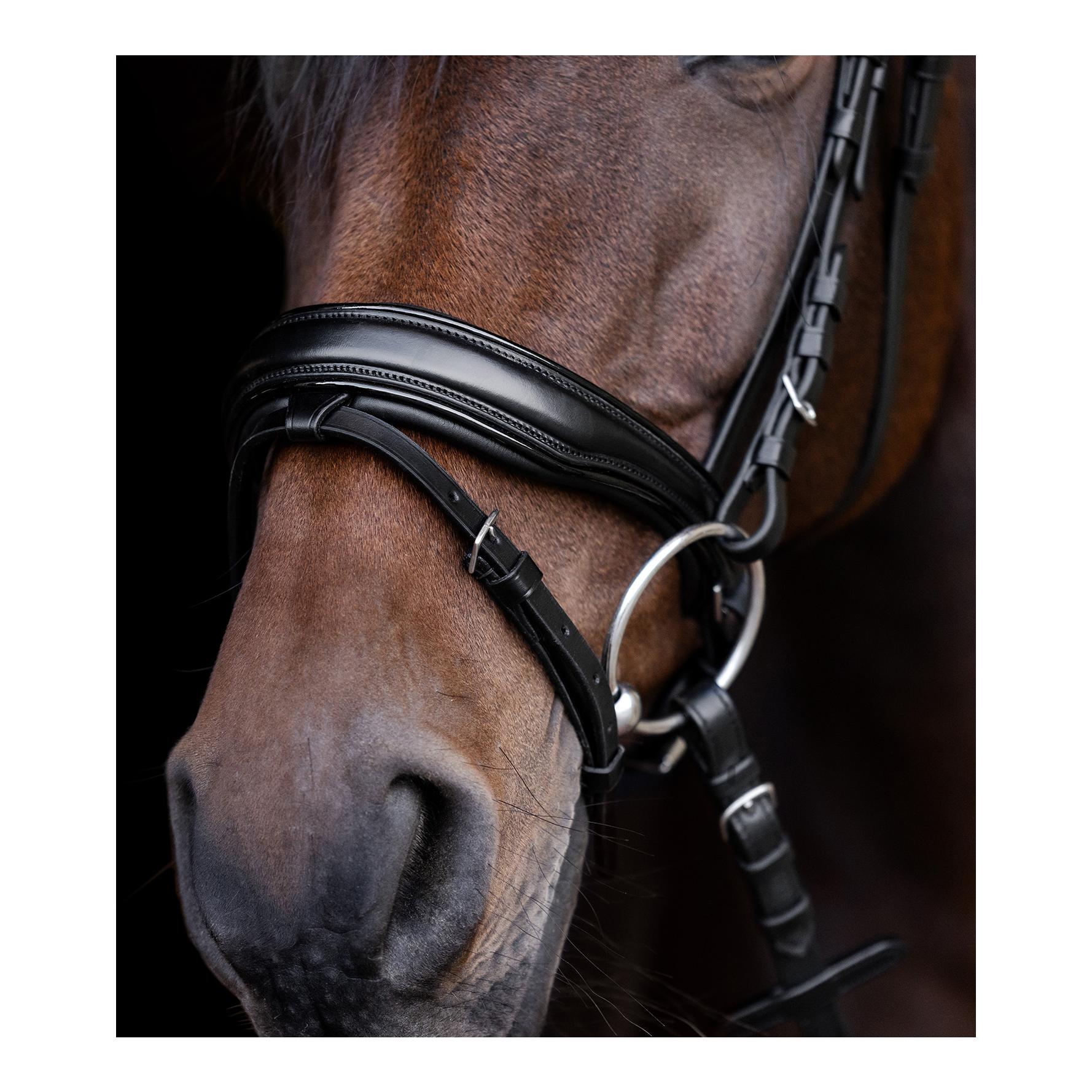 Waldhausen S-Line Trensenzaum Blackshine