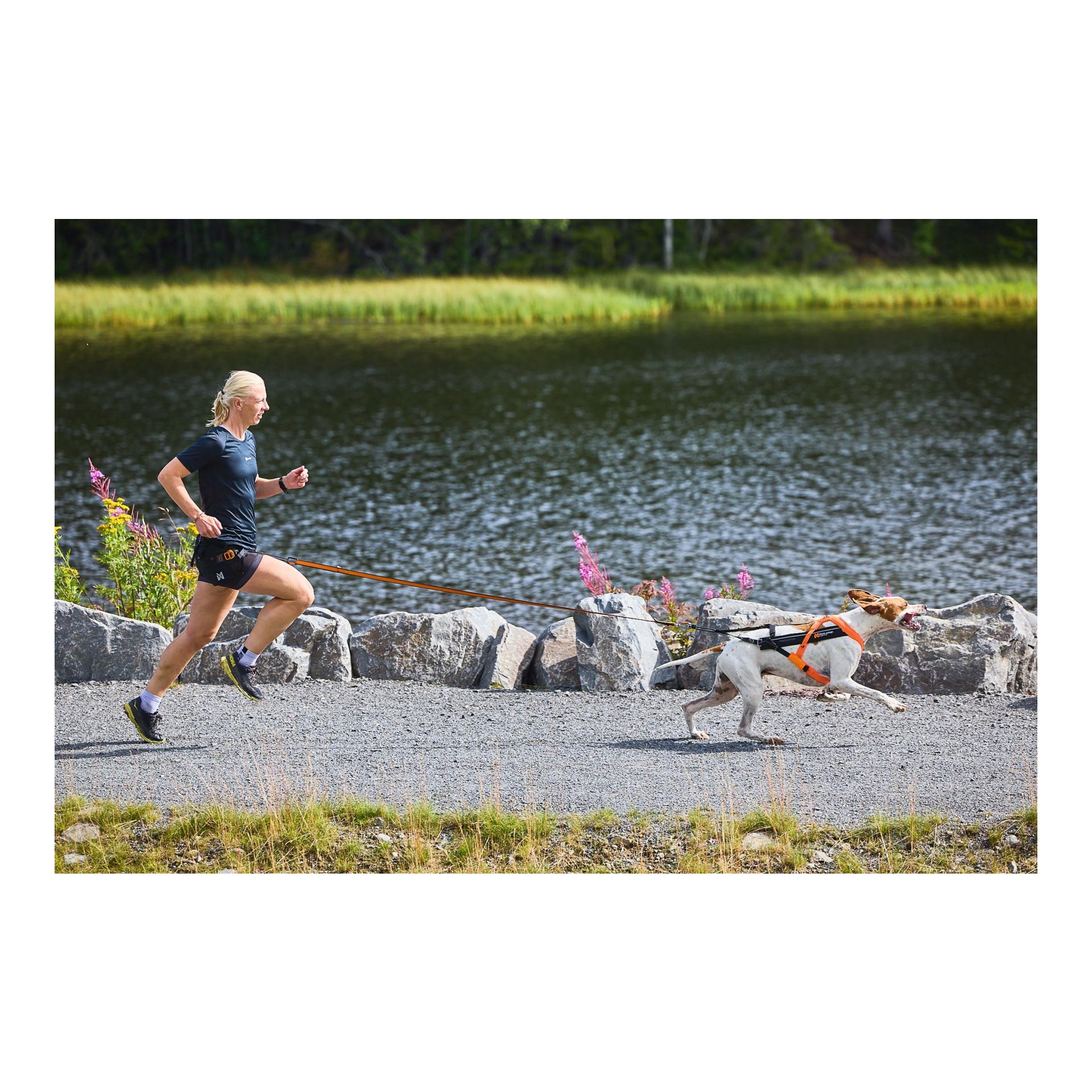 Zuggeschirr Freemotion Harness 5.0