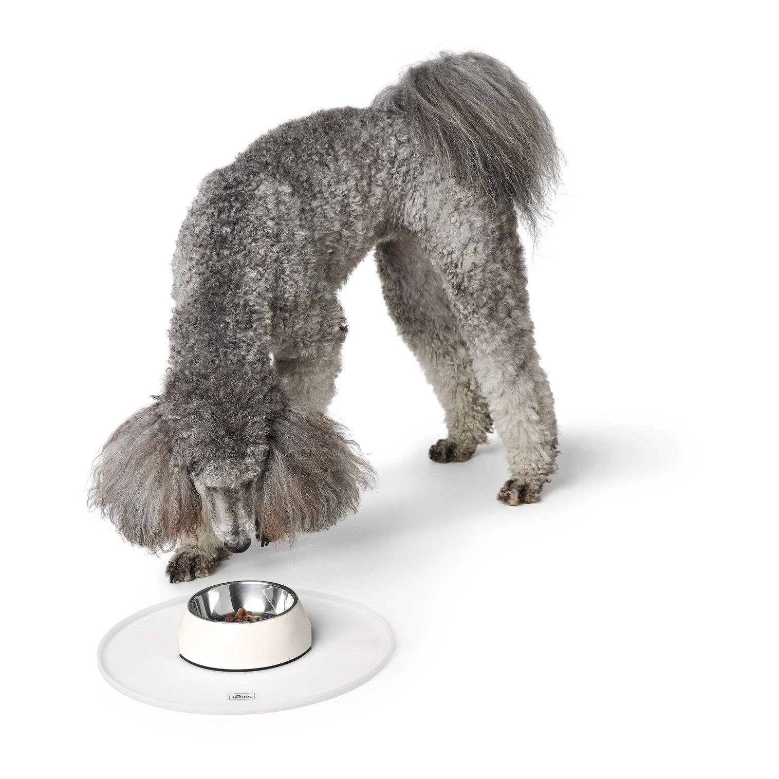 Melamin-Napf mit Edelstahl-Innennapf - weiss