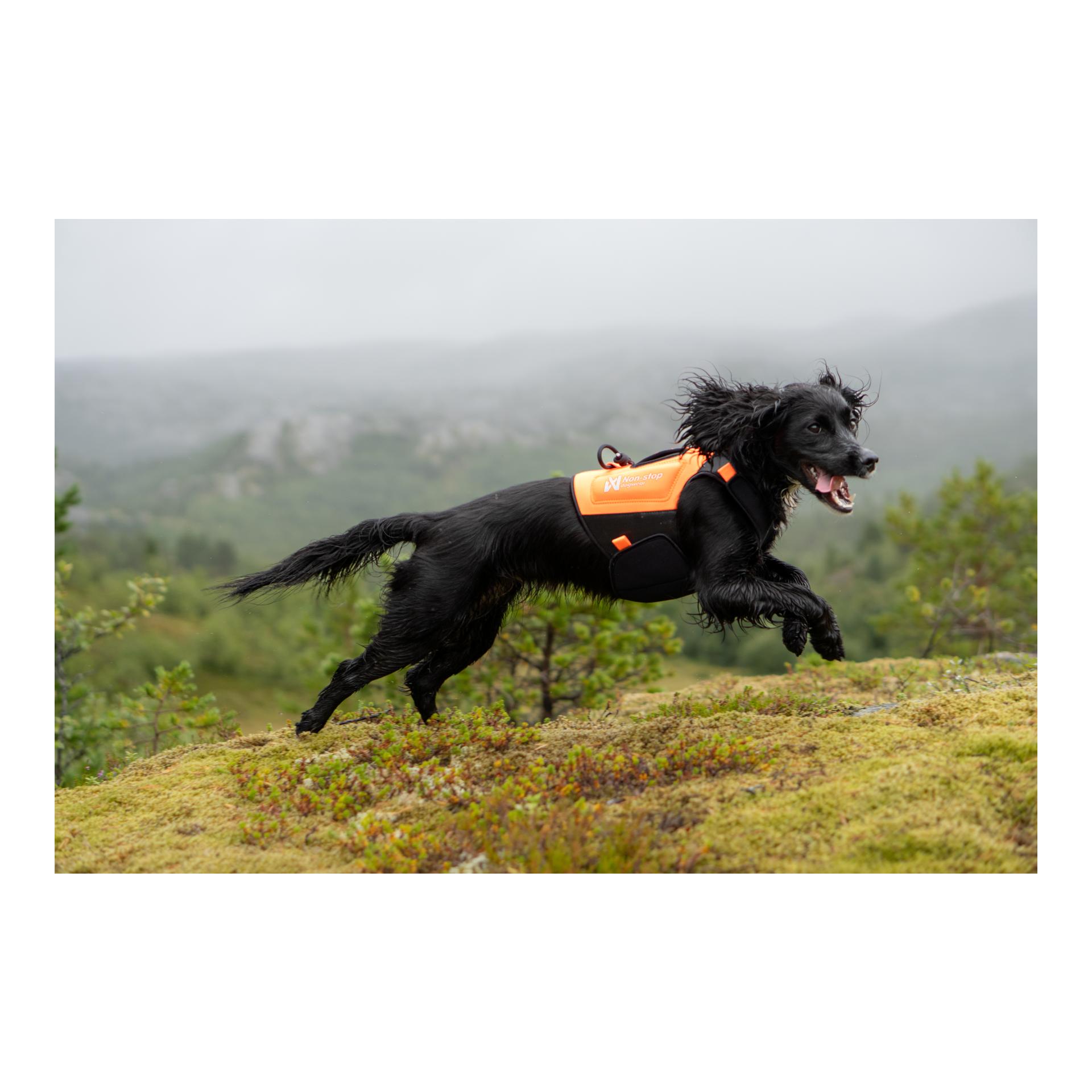 Protector neoprene vest