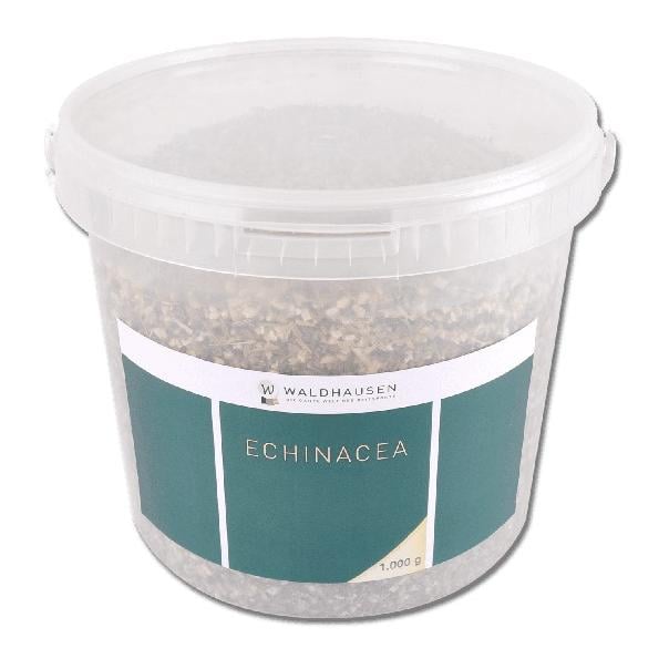 Echinacea - Immunstimulierend