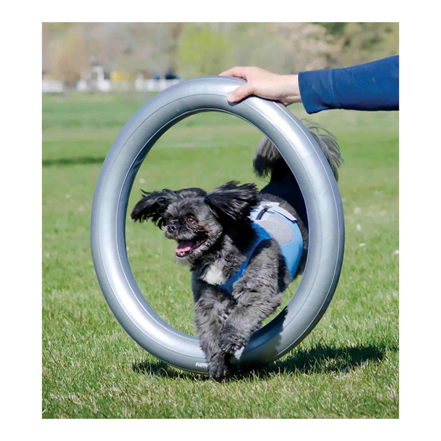 FitPAWS Donut Holder