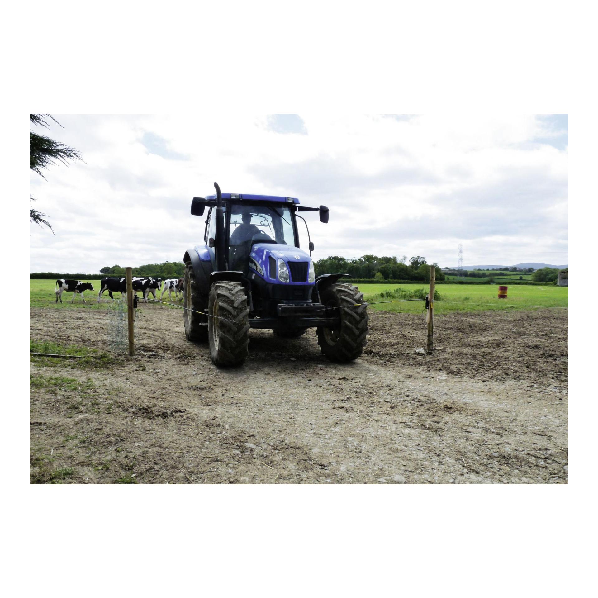 Weidezaun-Torwächter Set