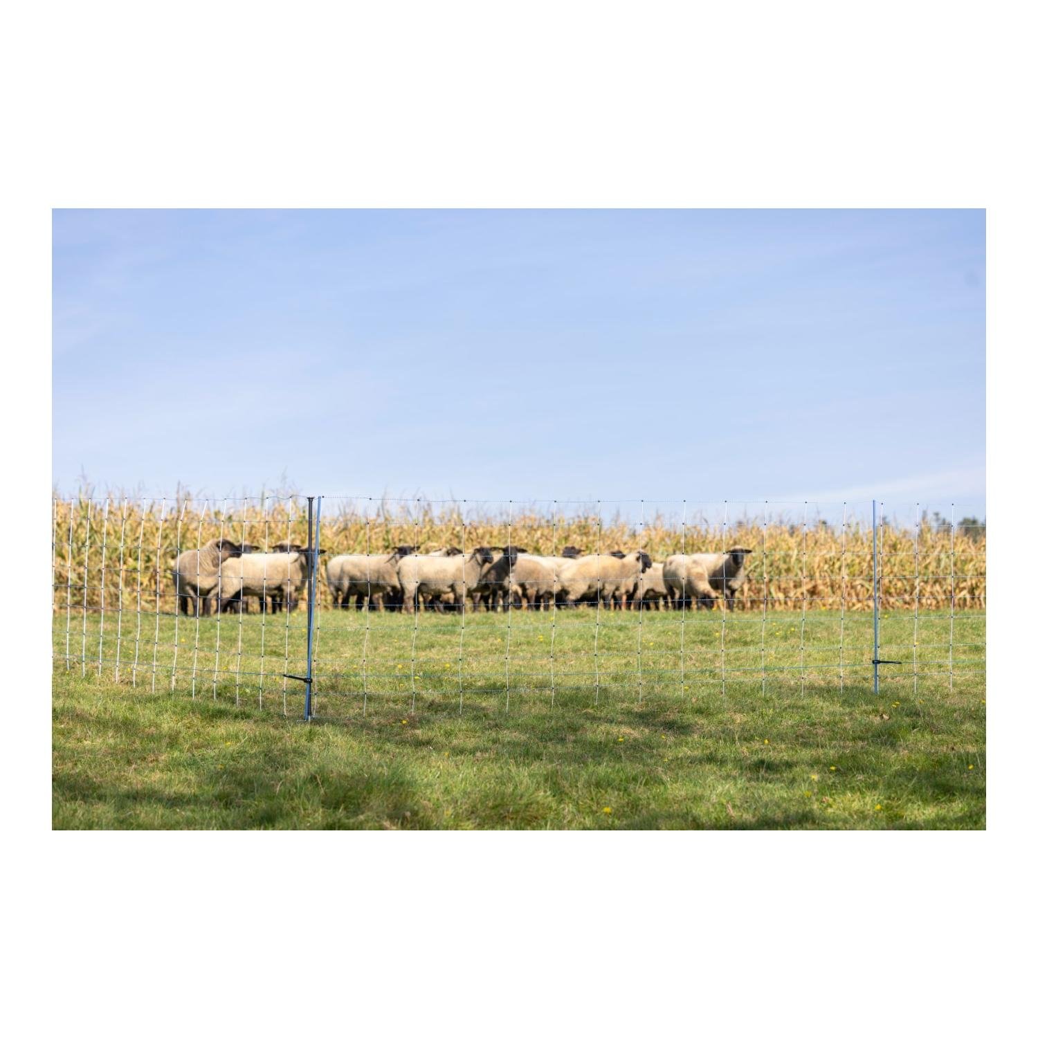 AKO Piquet de soutien pour filet de saule