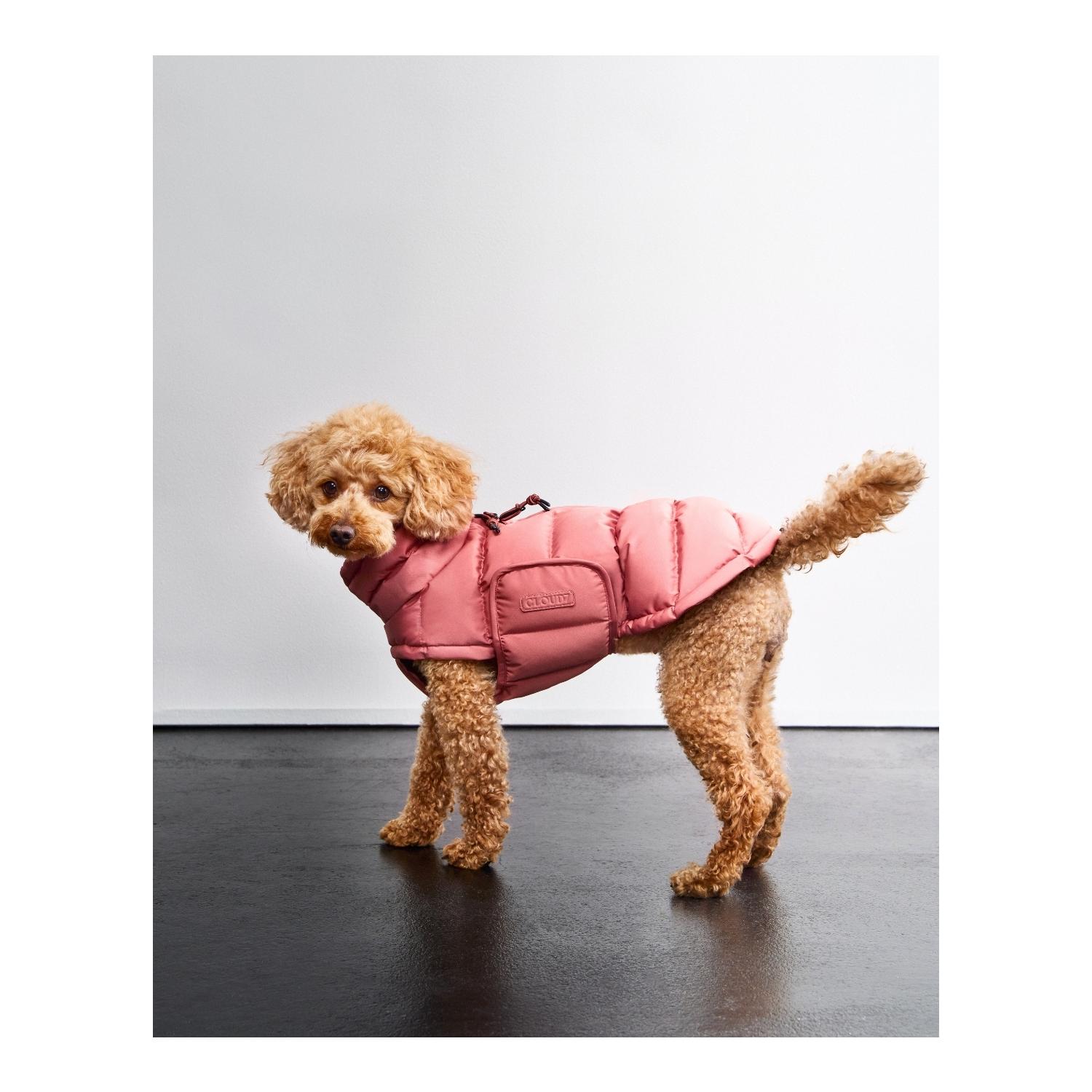 Winter Hundemantel Alaska Regular