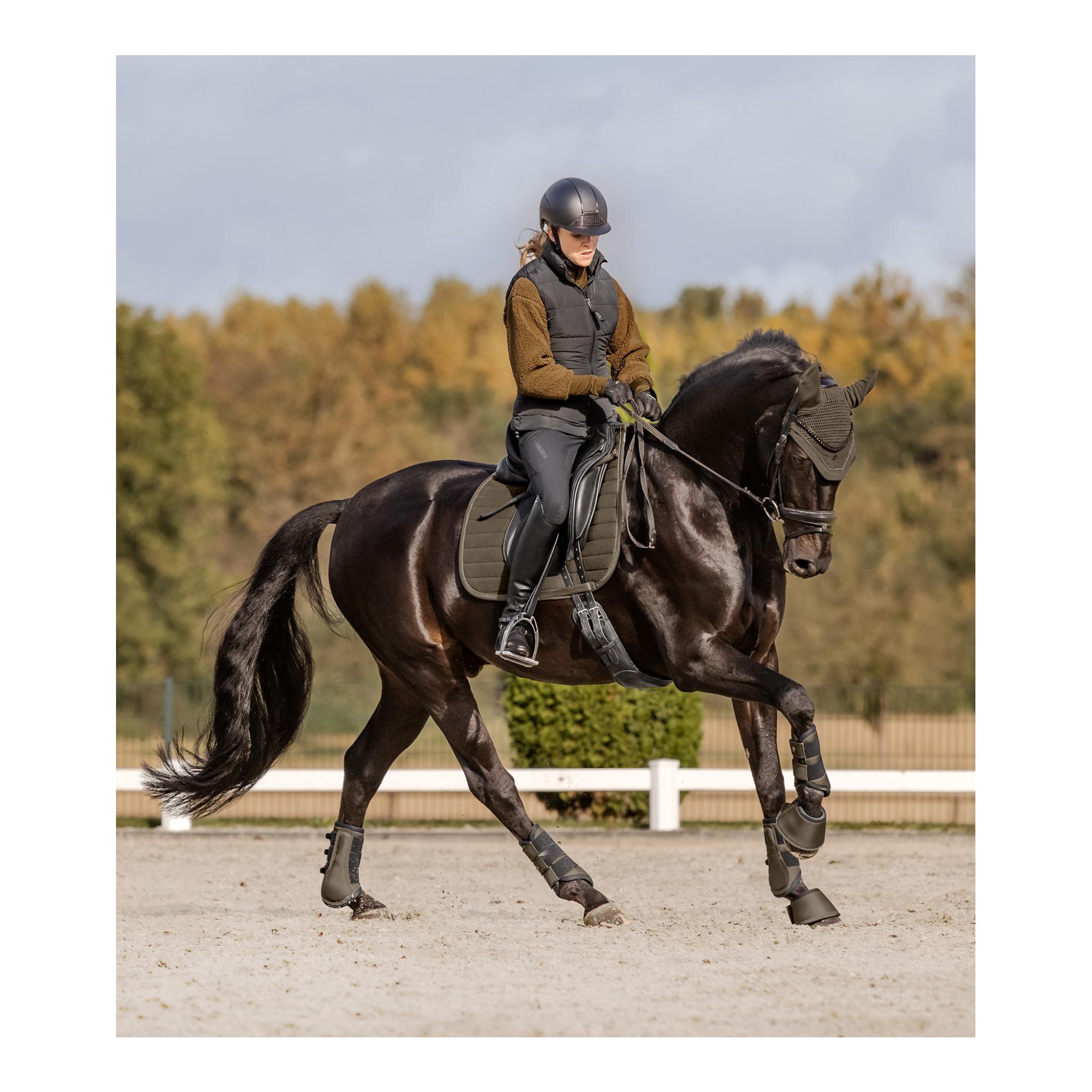 Schabracke St.Gallen