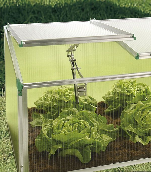 Premium-Frühbeet BIOSTAR 1500