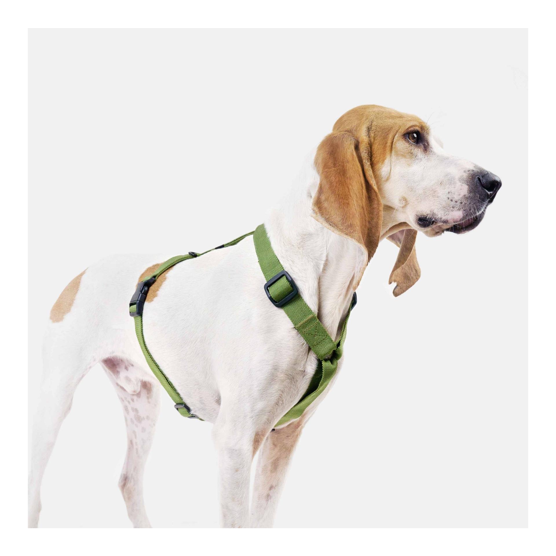 Harnais pour chien RESC7UE