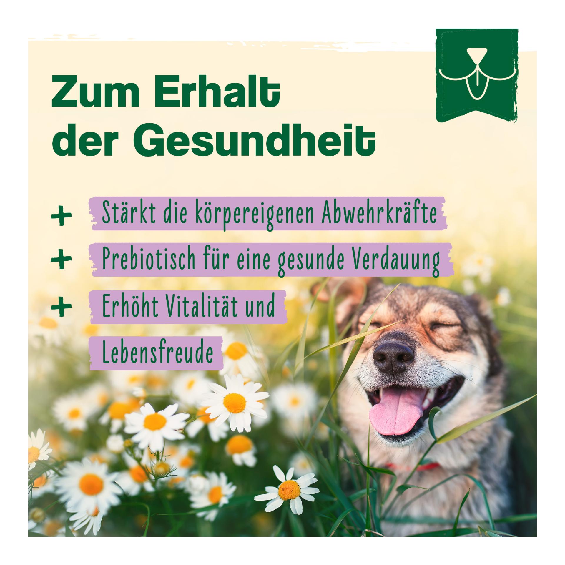 IdaPlus Bierhefe Tabletten - optimale Pflege für glänzendes Fell & kräftige Haut
