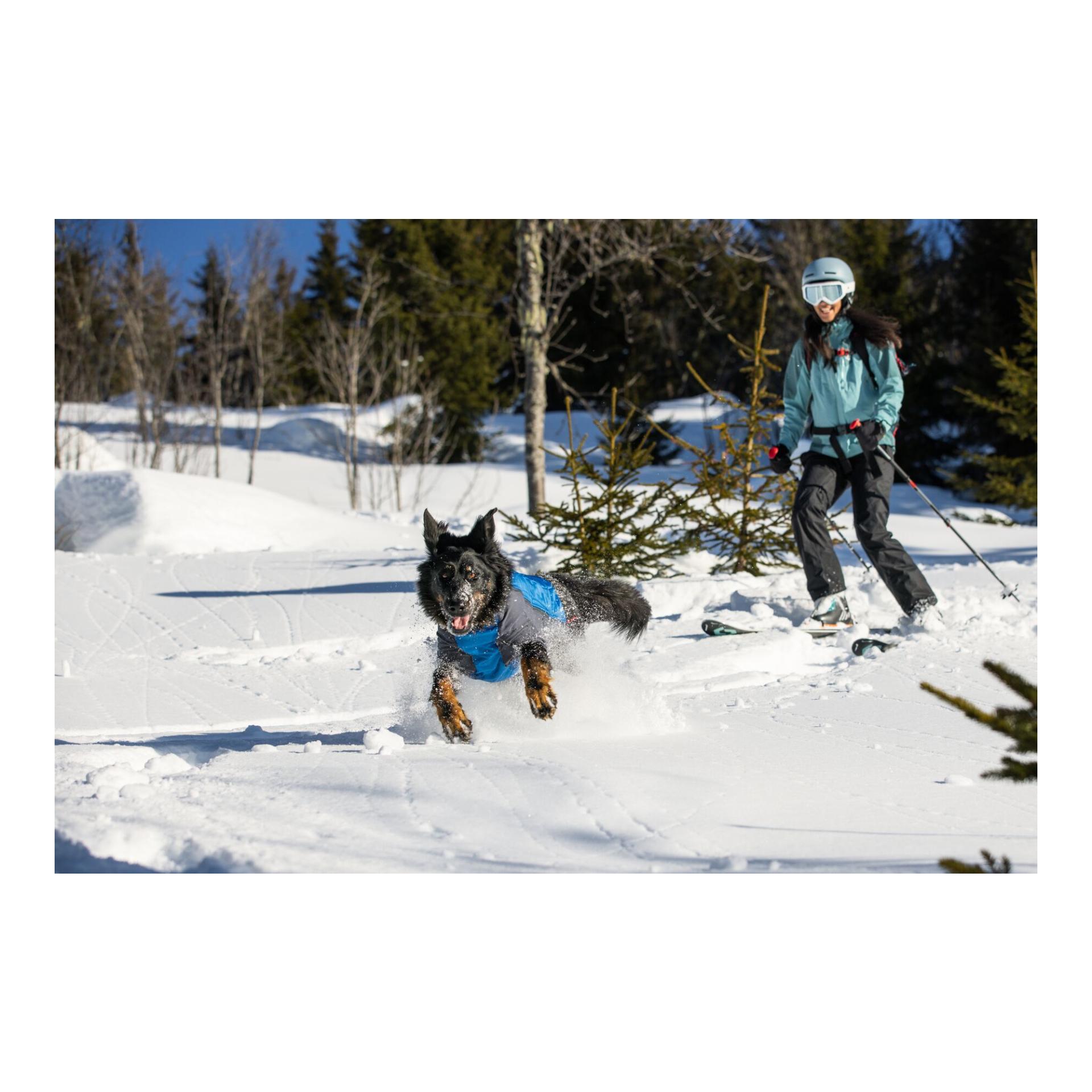 Powder Hound™ Jacket Hundejacke