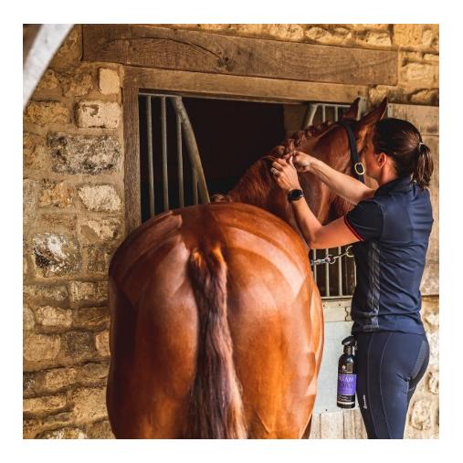 Mähnenspray Dreamcoat