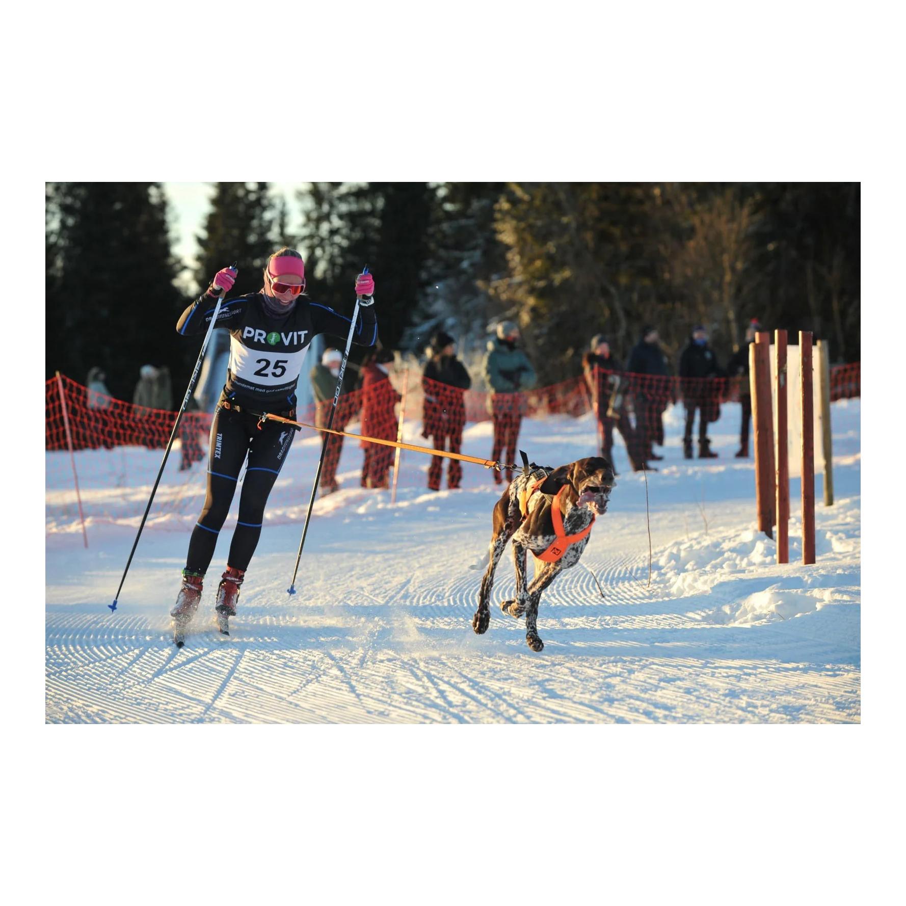 Løype Belt Pro - Ergonomischer Hundegurt für Skijöring