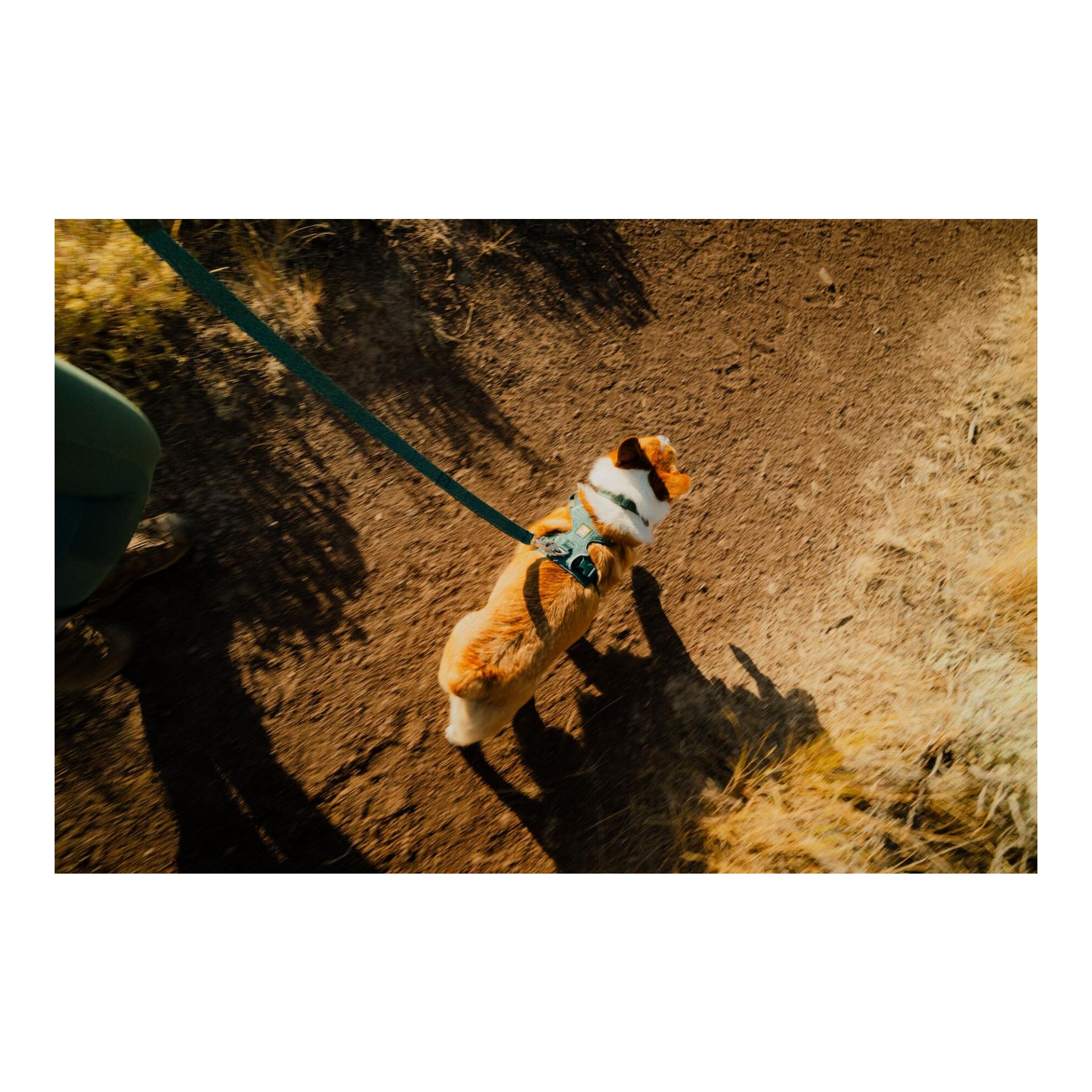 Ruffwear Front Range® Flex Hundegeschirr