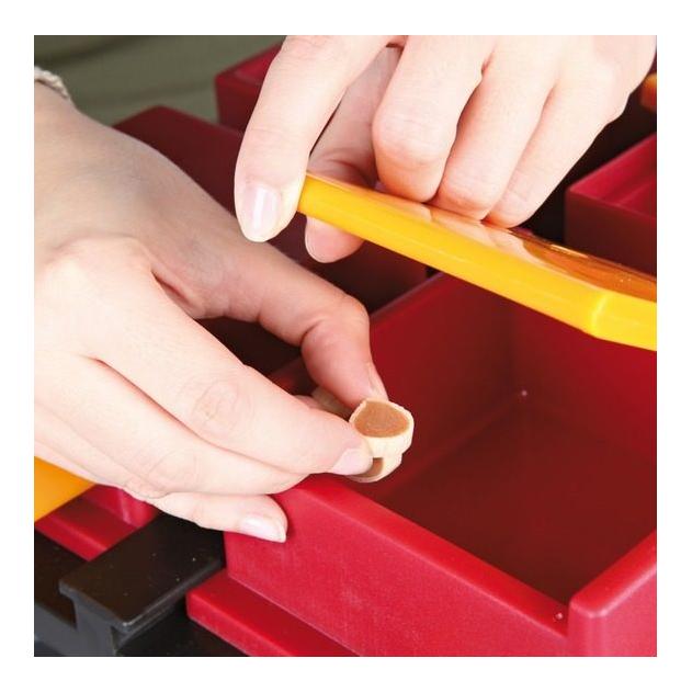 Dog Activity Poker Box Strategiespiel  31x10x31 cm