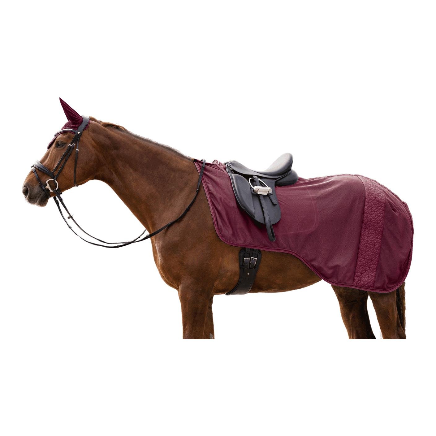 Fliegen-Ausreitdecke Rom